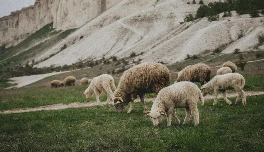 Richman Showcases New Cashmere Collection at Pitti Immagine Uomo