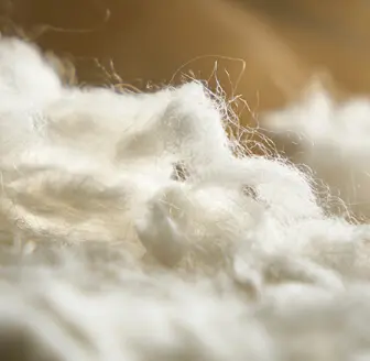 Traceable Cashmere