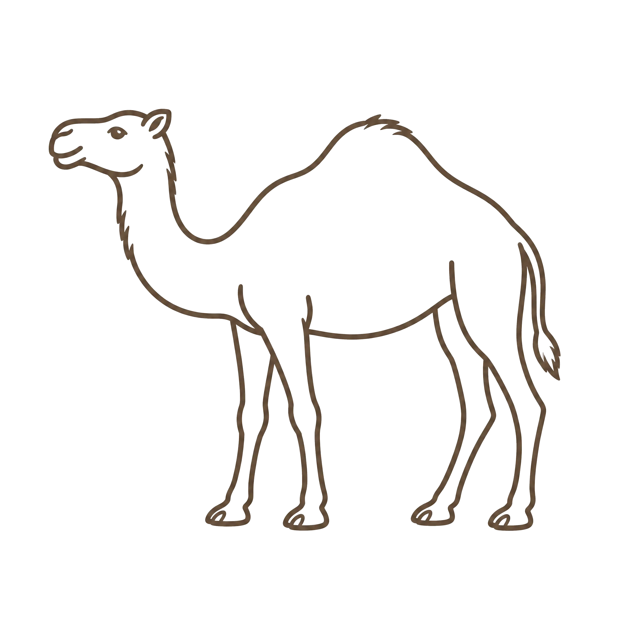 Camel Hair